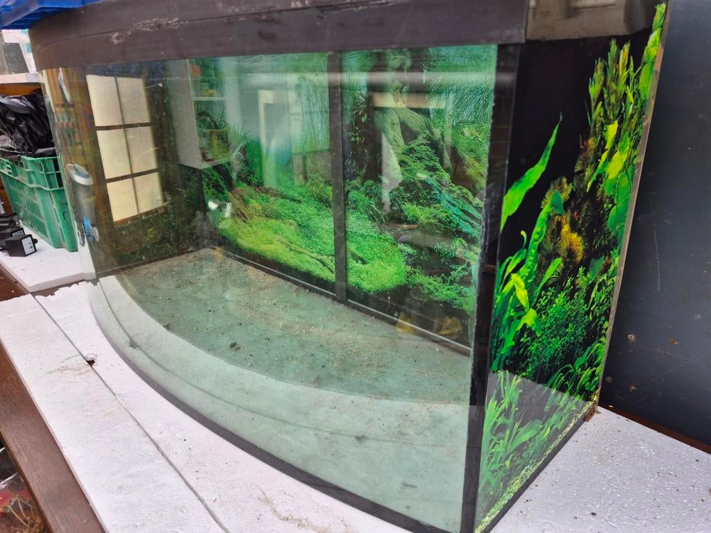 Aqaurium, Dieren en Toebehoren, Ophalen, Gebruikt, Leeg aquarium, Juwel