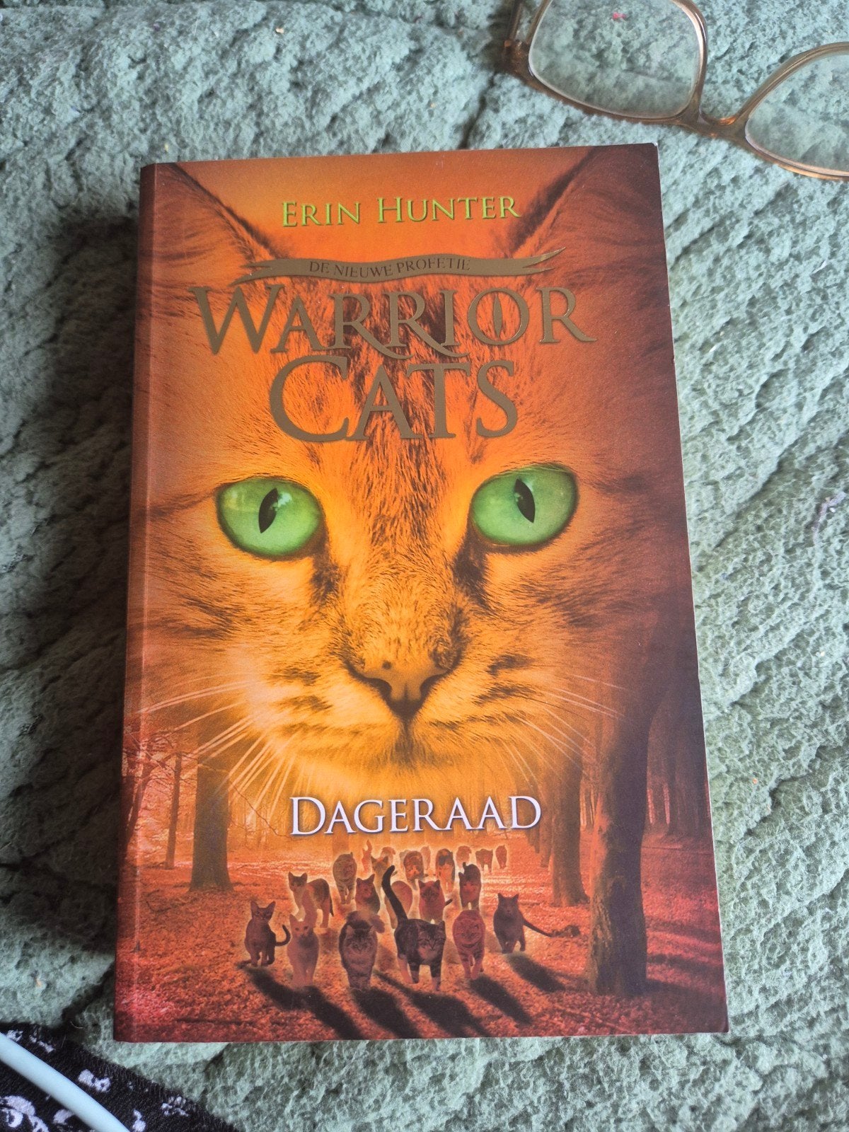 Warrior Cats Serie II Boek 3: Dageraad - Zachte Kaft, Boeken, Ophalen of Verzenden, Zo goed als nieuw, Erin Hunter