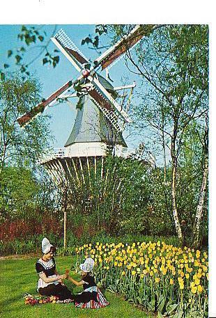 Ansichtkaart	Lisse	Keukenhof	Klederdracht	Molen, Verzenden, 1960 tot 1980, Ongelopen, Zuid-Holland