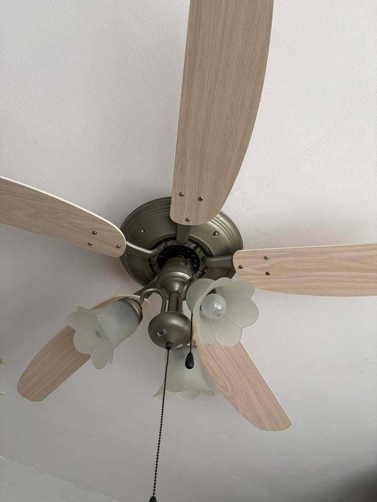 Plafondventilator met verlichting, Ophalen of Verzenden, Zo goed als nieuw, Plafondventilator
