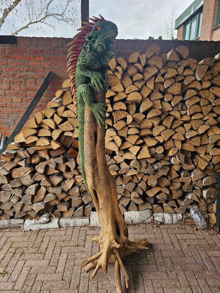 Groene leguaan op boomstam ongeveer 1.75 hoog, Ophalen, Gebruikt