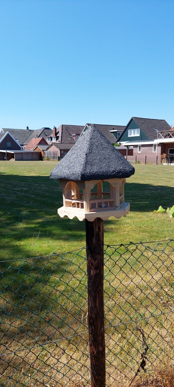 Vogelhuisje kop, Ophalen of Verzenden