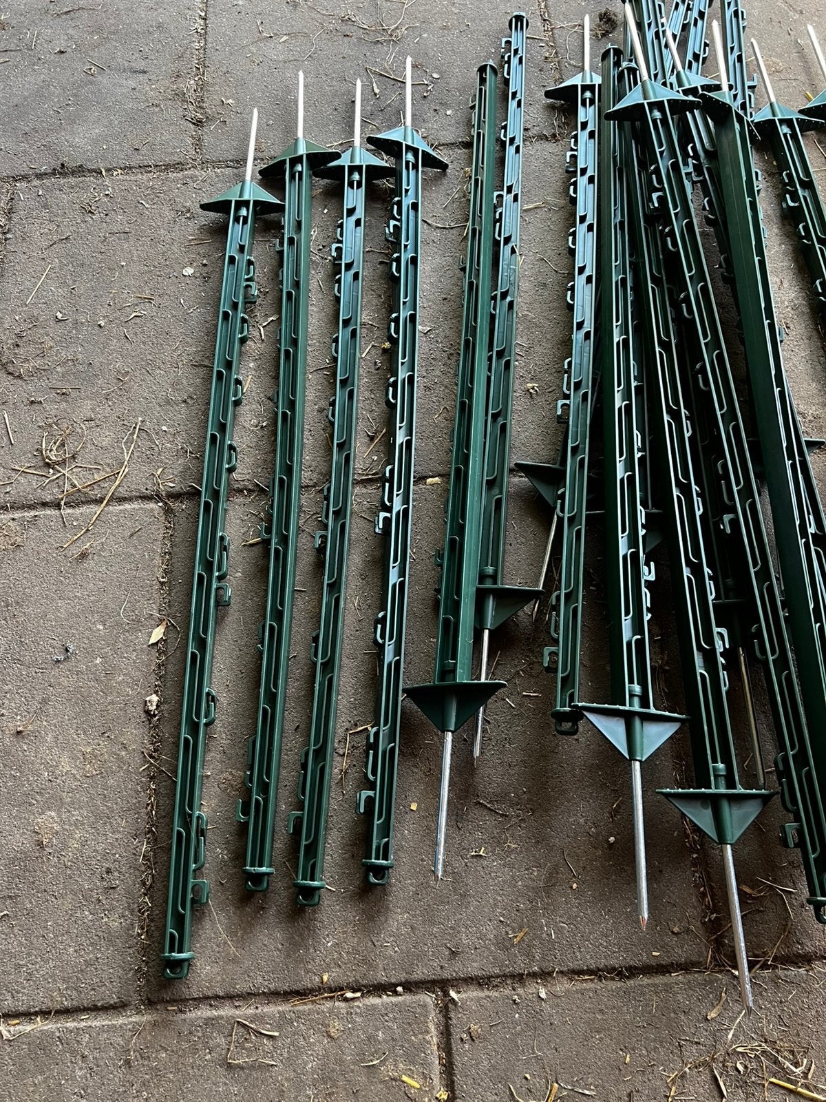 Weide paaltjes, Ophalen of Verzenden, Nieuw, 20 meter of meer