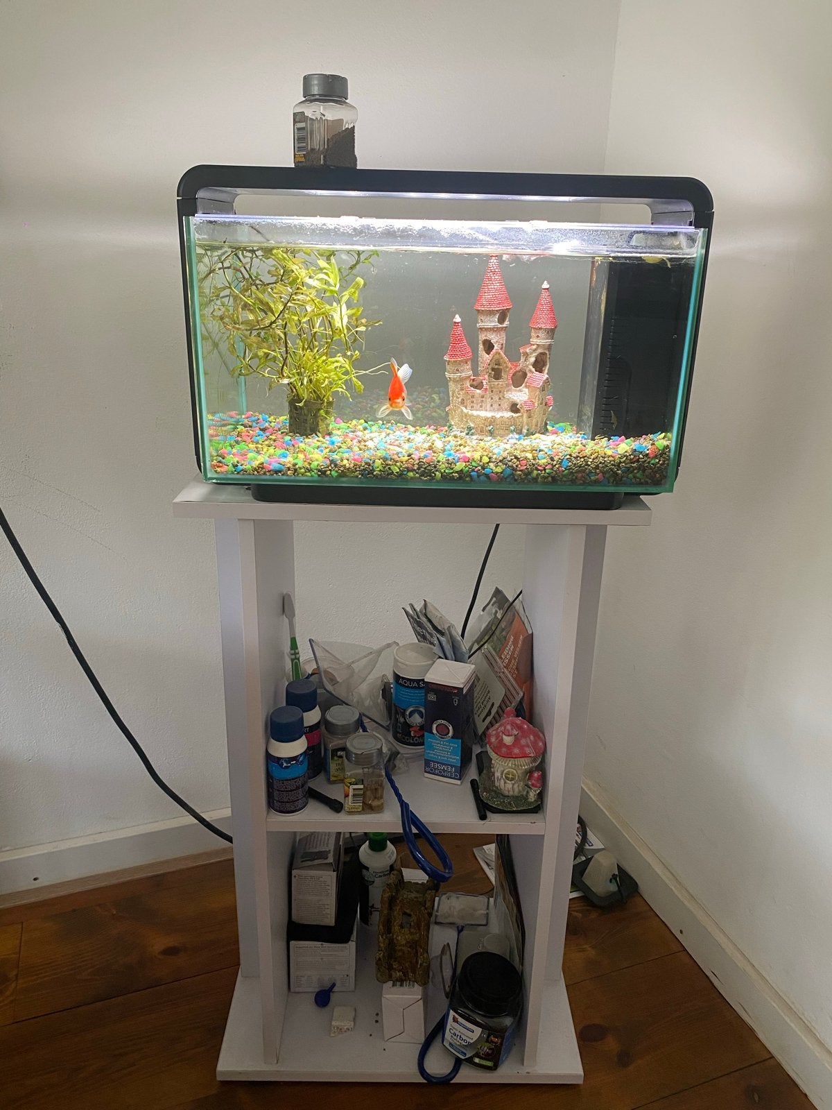 Aquarium op standaard met vis, Dieren en Toebehoren, Ophalen, Inclusief vissen, Gebruikt, Gevuld zoetwateraquarium