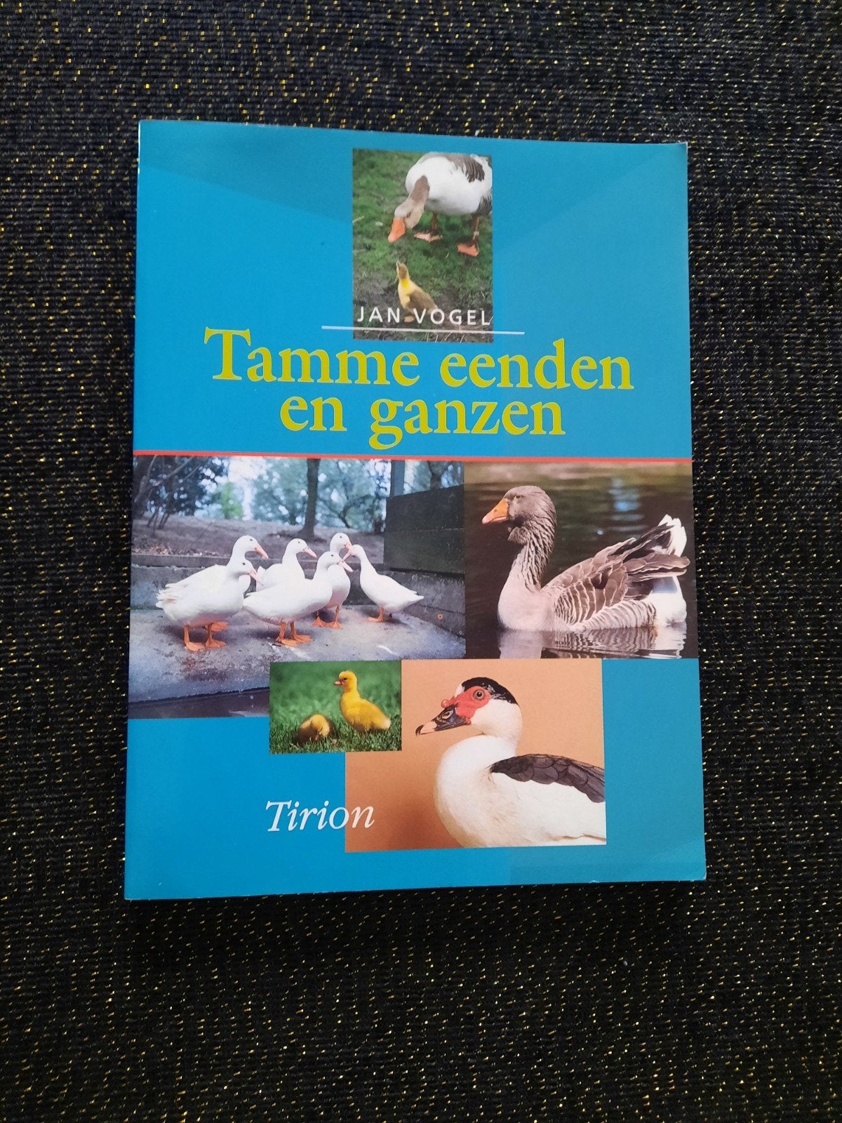 Tamme eenden en ganzen - Jan Vogel (softcover), Ophalen of Verzenden, Nieuw, Overige onderwerpen, Jan Vogel