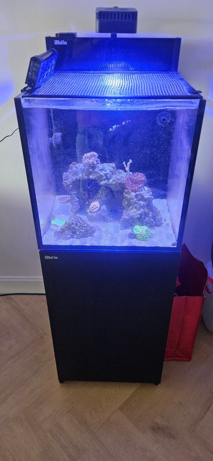 red sea max nano g2 125L, Dieren en Toebehoren, Vissen | Aquaria en Toebehoren, Ophalen, Inclusief deksel, Zo goed als nieuw, Red Sea