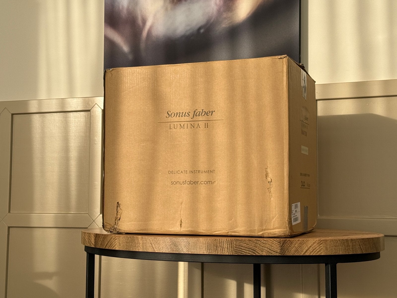 Sonus faber Lumina II Amator, Speakerset, Ophalen of Verzenden, Zo goed als nieuw, /