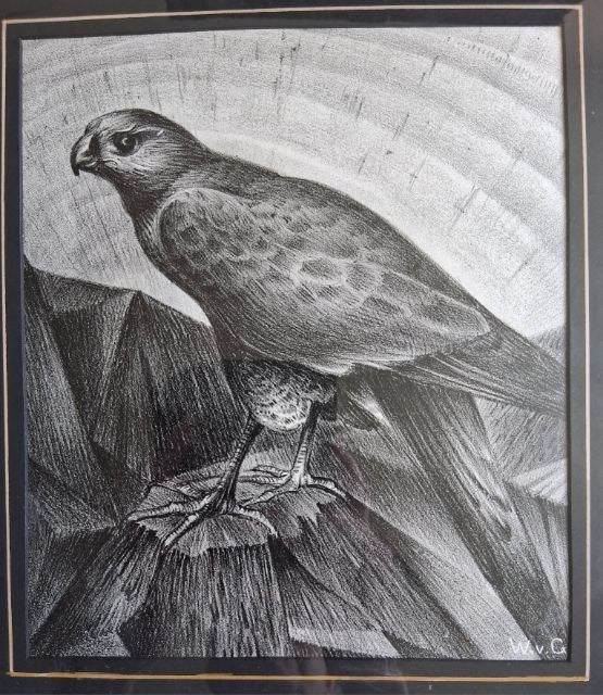 Tekening valk  Willem van Genk (1927–2005???, Ophalen of Verzenden, Tekening, Potloodtekening, Handgemaakt