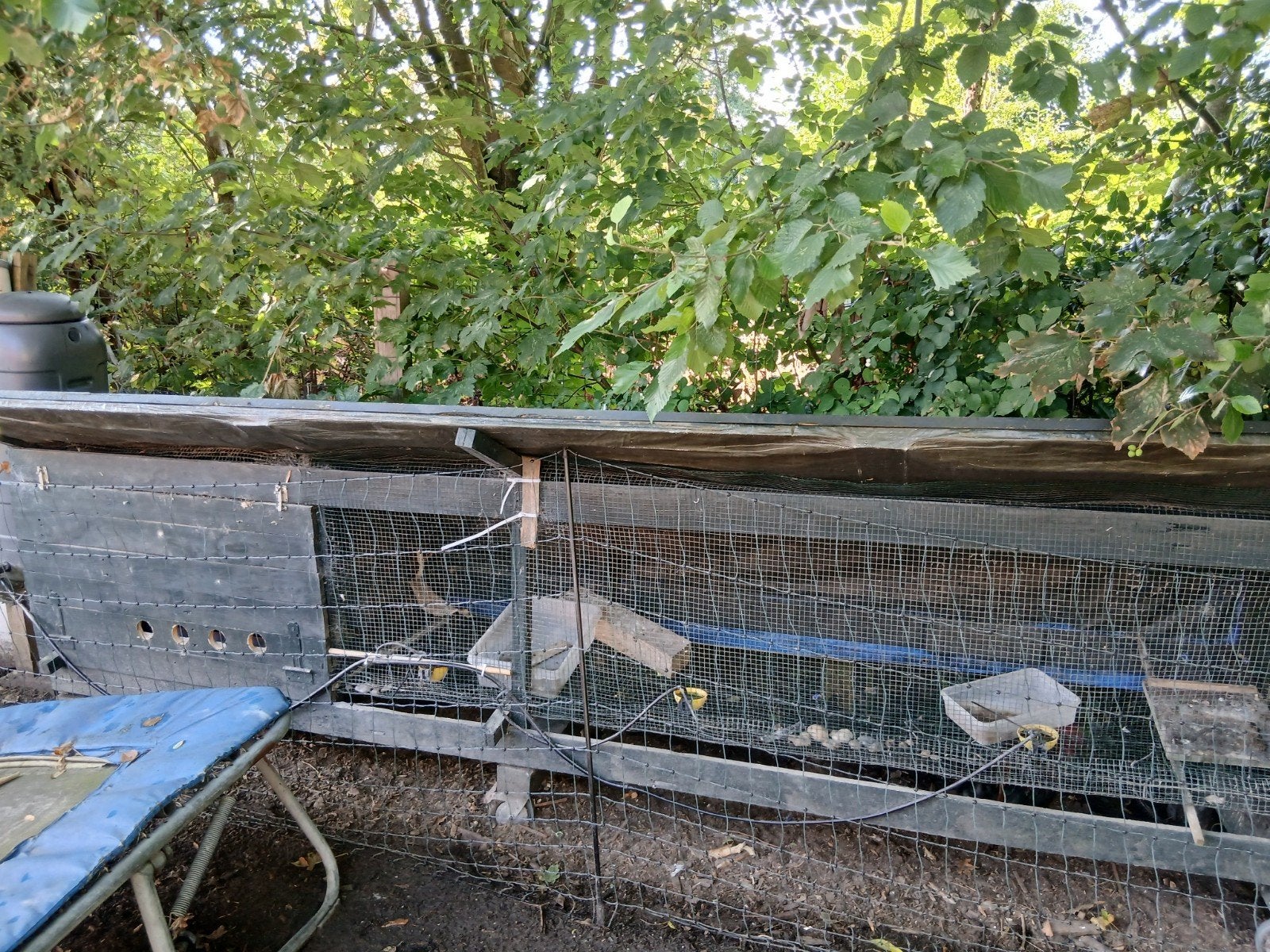 Zelfgemaakt dierenhok met regenton-watersysteem& voerbuizen, Ophalen, Hout, Volière
