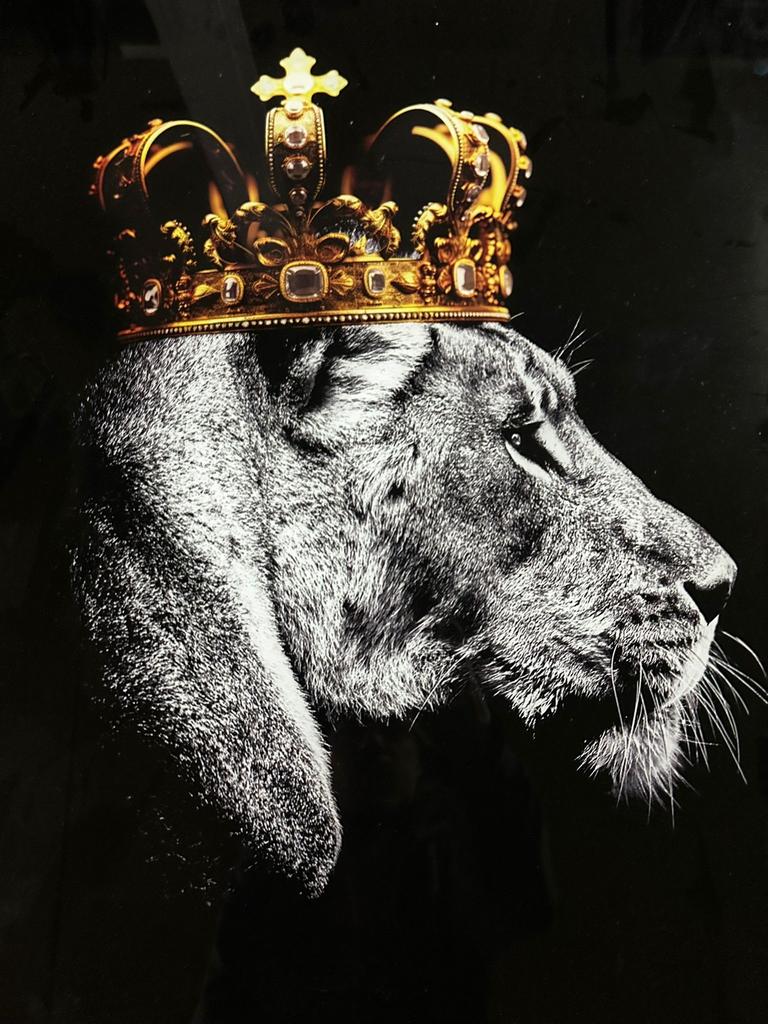 Glasschilderij 40x60cm lion king, Ophalen of Verzenden