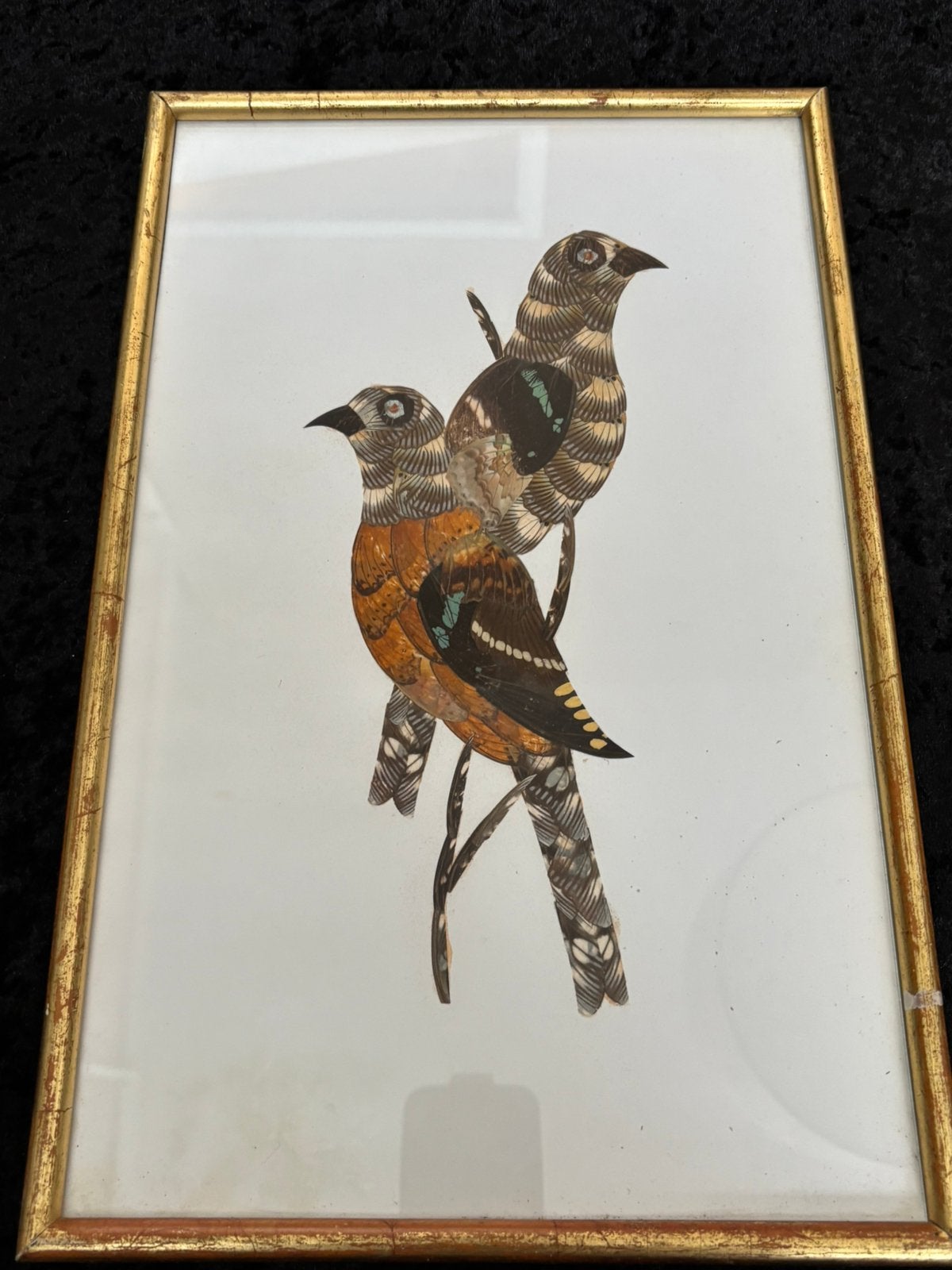 Ingelijst vogel kunstwerk gemaakt uit vlindervleugels, Ophalen of Verzenden