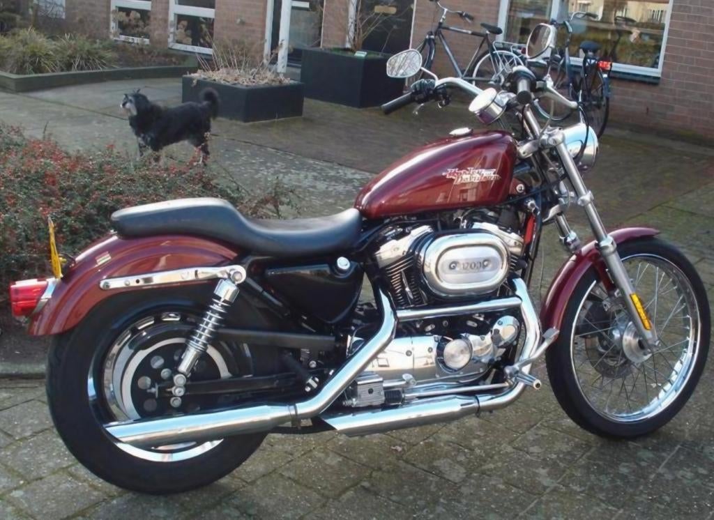 Harley Sportster XLH Custom 1200, 2 cilinders, Gebruikt, Particulier, 1200 cc