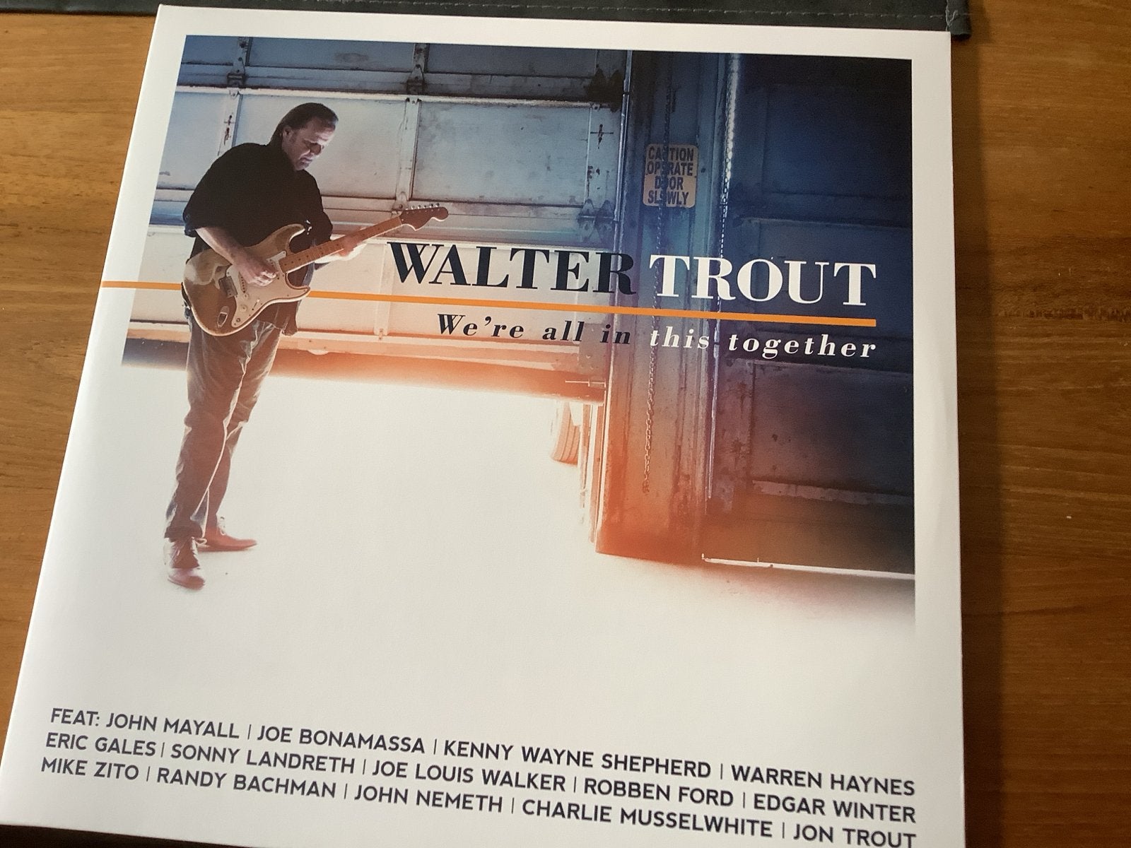Walter Trout - We're All In This Together, Ophalen of Verzenden, Zo goed als nieuw, 12 inch, Blues Rock