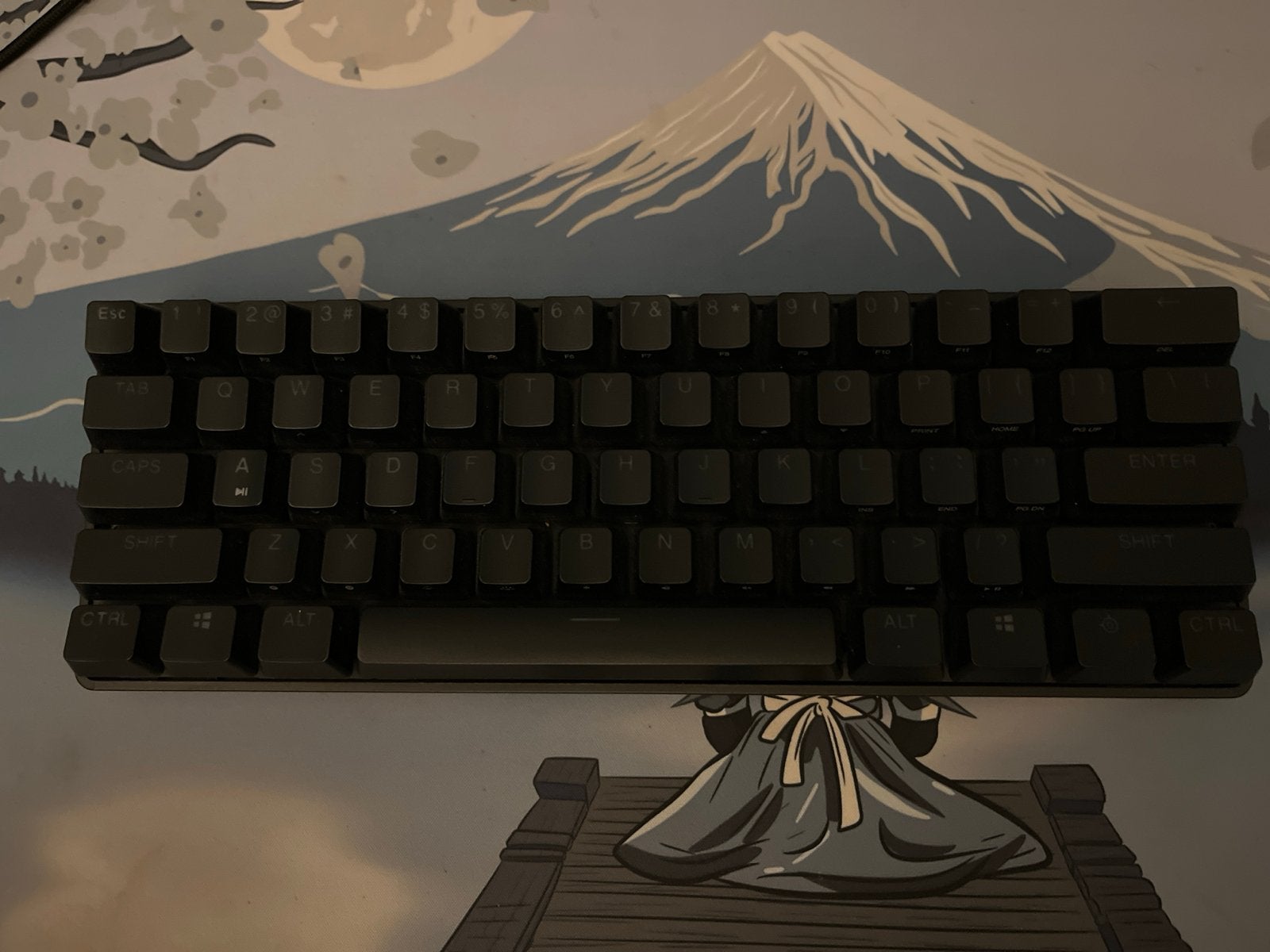 SteelSeries Apex Pro Mini Gaming Toetsenbord, Computers en Software, Ophalen, Gaming muis, Overige typen, Zo goed als nieuw