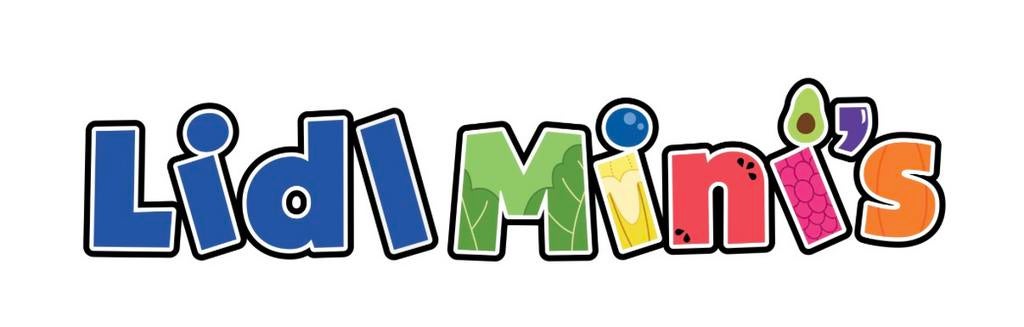 Gevraagd/ ruilen mini lidl, 1 speler, Ophalen, Zo goed als nieuw, Vanaf 3 jaar