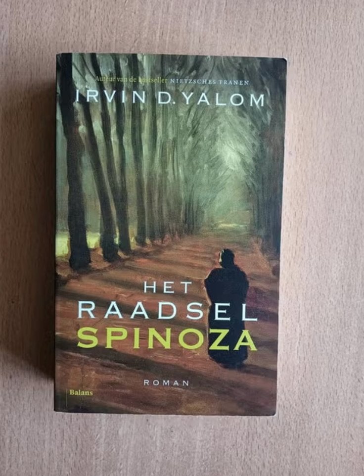 Irvin D. Yalom - Het raadsel spinoza, Ophalen of Verzenden, Zo goed als nieuw