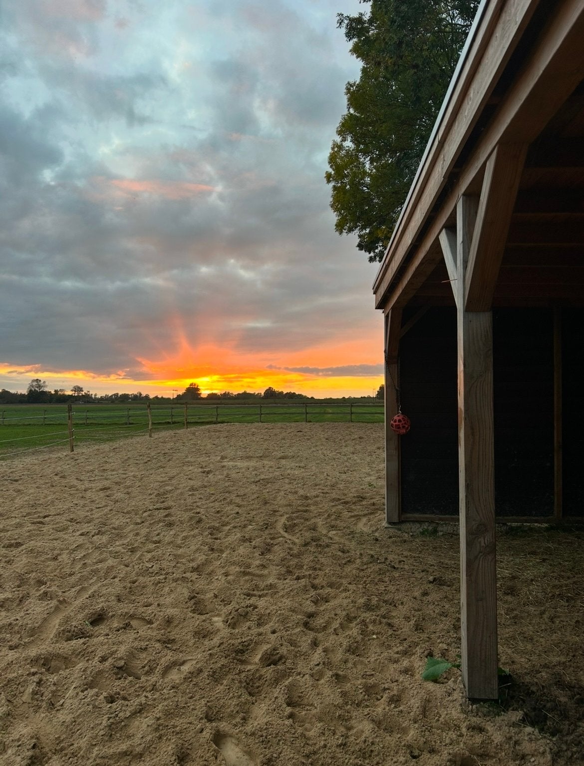 Paddock paradise - 24/7 buiten stalling in eigen beheer