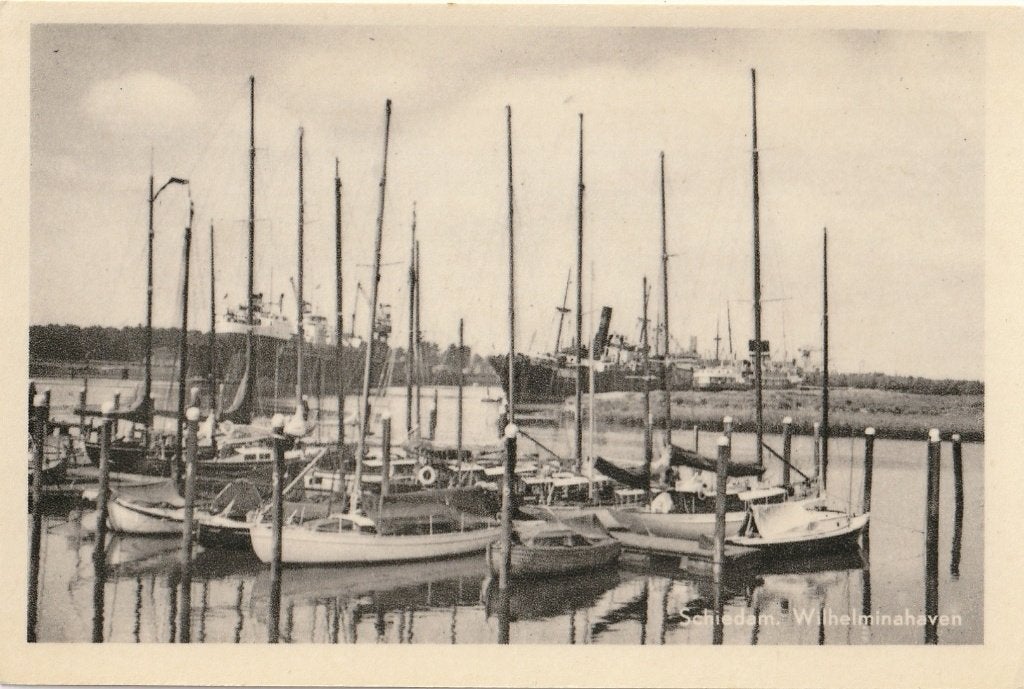 SCHIEDAM WILHELMINA HAVEN JAREN 50 ZEER MOOIE  KAART KN806, Verzamelen, Ophalen of Verzenden, 1940 tot 1960, Ongelopen