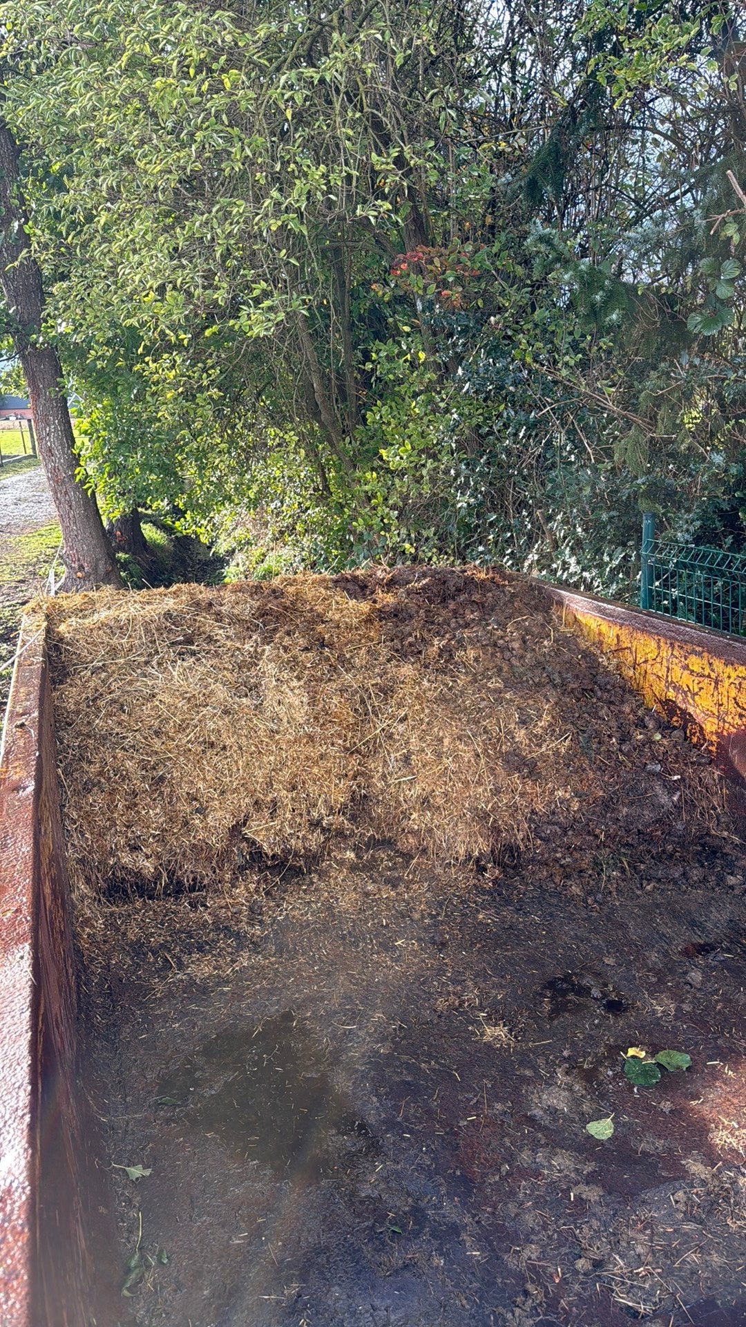 Gratis paardenmest uit zand en stal (tarwestro), Ophalen, Compost