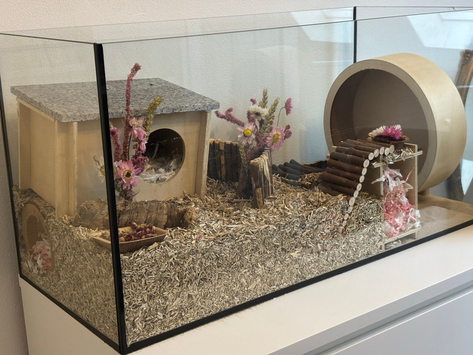 Hamster terrarium met veel decoratie, Ophalen