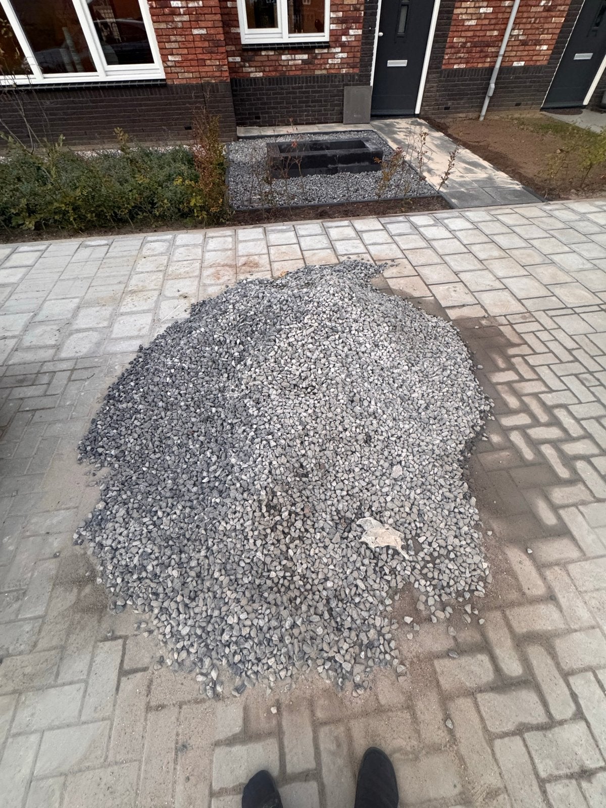 Blauw siergrind voor tuin of oprit