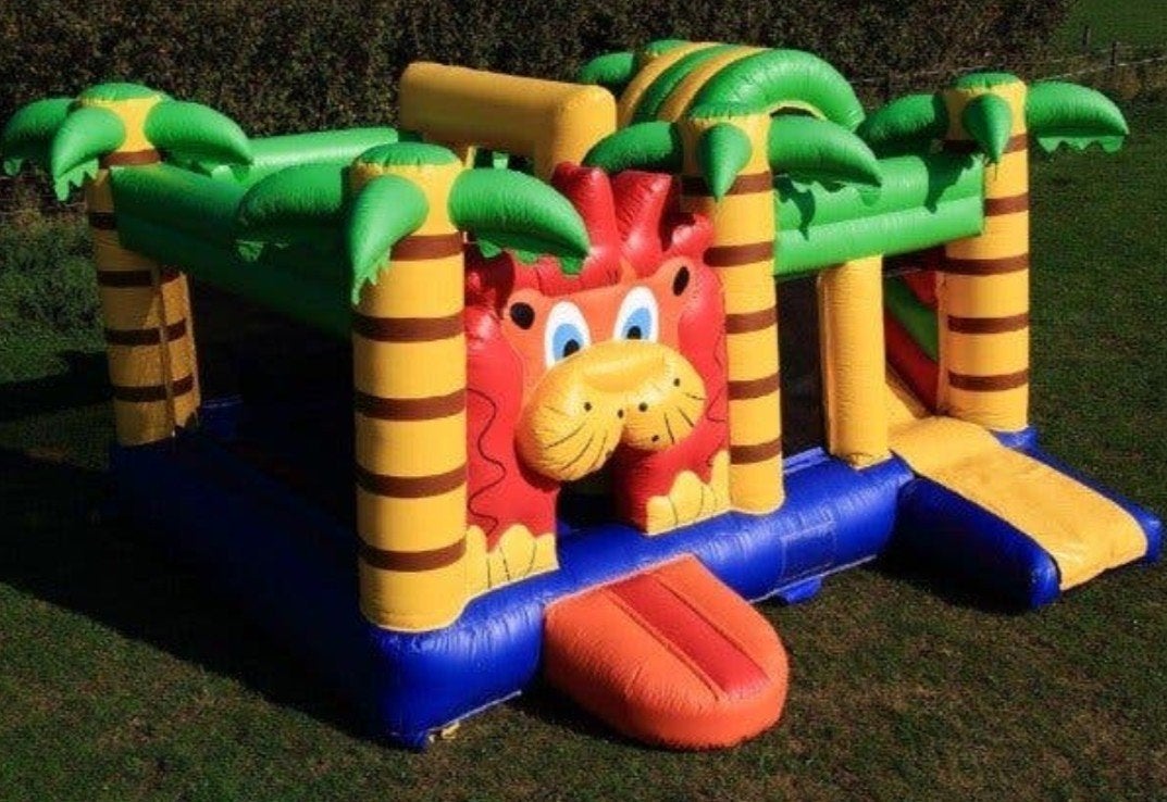 Springkussen multiplay Leeuw MOET NU WEG, Ophalen