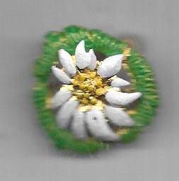 EDELWEISS BROCHE SPELD, Ophalen of Verzenden, Gebruikt, Overige materialen