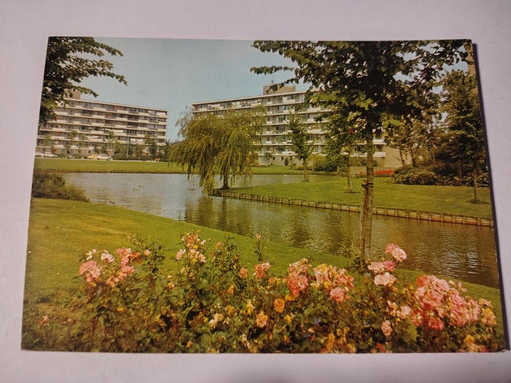 Sassenheim, Verzamelen, Ansichtkaarten | Nederland, Ophalen of Verzenden, 1940 tot 1960, Gelderland