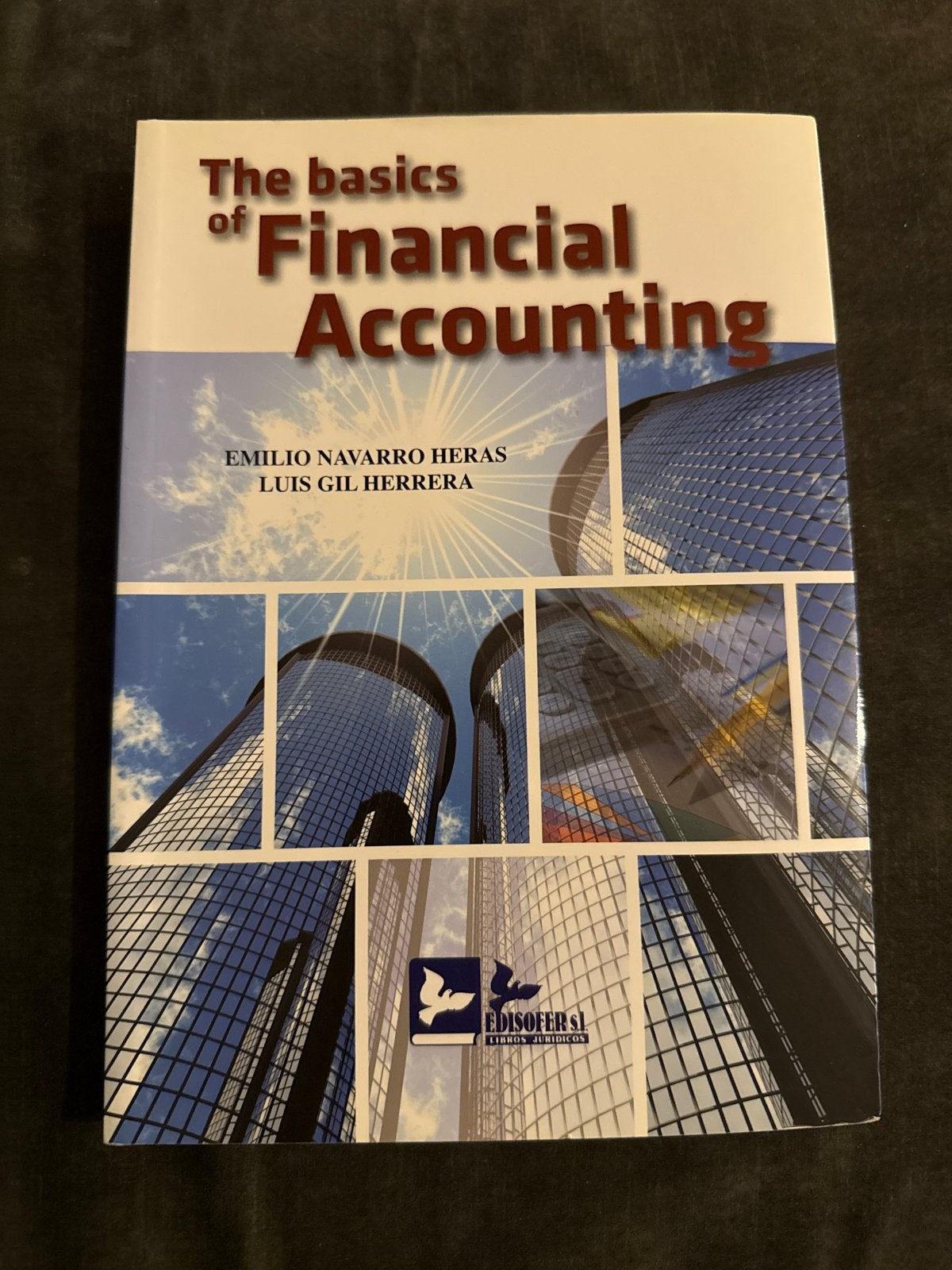 The Basics of Financial Accounting - Emilio Navarro Heras, Ophalen of Verzenden, Gamma, Zo goed als nieuw, HBO