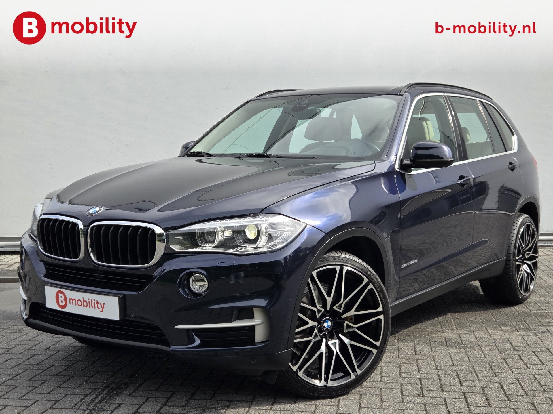 BMW X5 sDrive25d High Executive Comfort Stoelen 97.000KM! |, Auto's, 4 cilinders, 241 €/maand, Blauw, Bedrijf