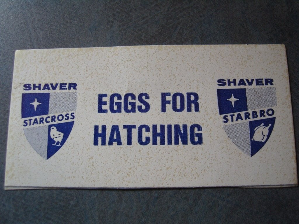 sticker shaver starcross / starbro eggs for hatching, Ophalen, Zo goed als nieuw