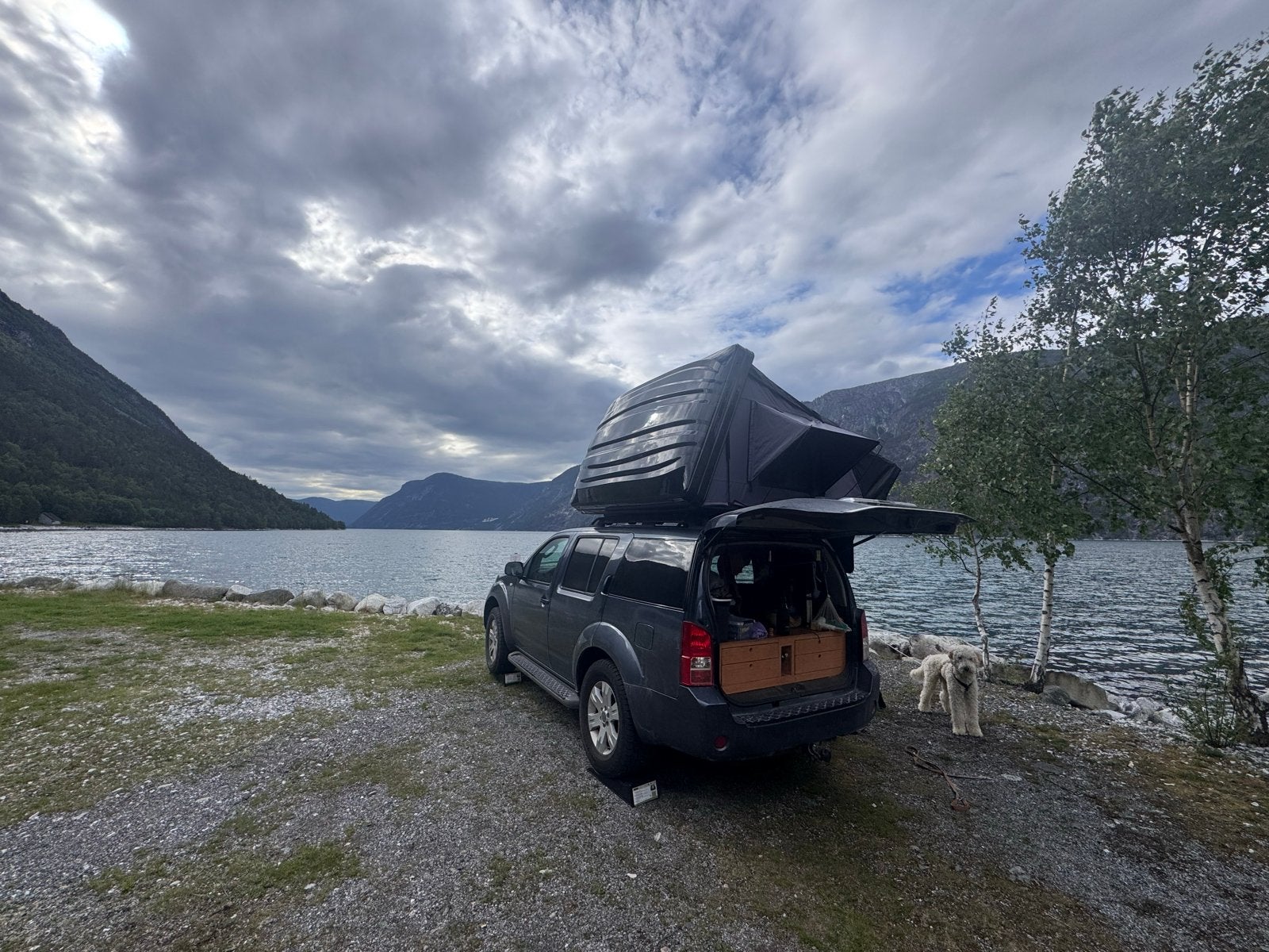 Nissan Pathfinder Overland 4x4 | Daktent | Camper |, Automaat, USB, Origineel Nederlands, Diesel