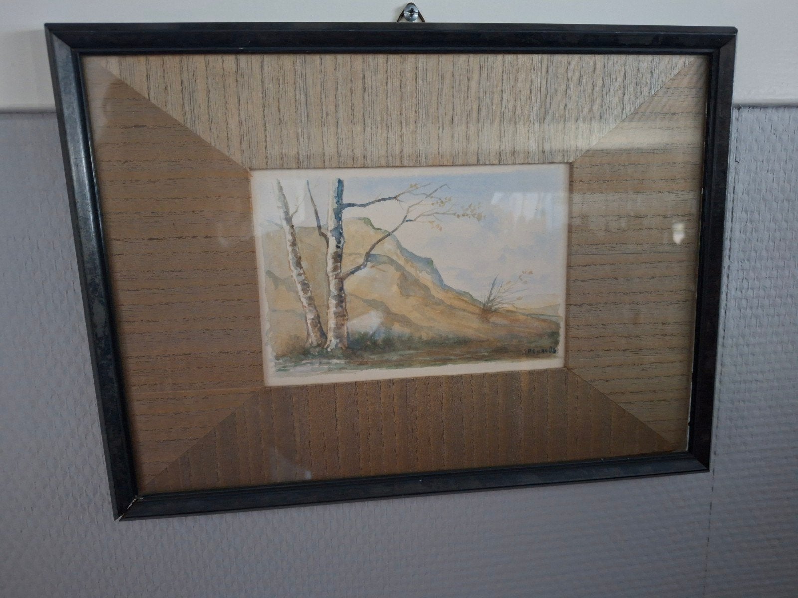 Ingelijste aquarel van een landschap met bomen, Antiek en Kunst, Landschap, Papier, Ingelijst, Ophalen of Verzenden