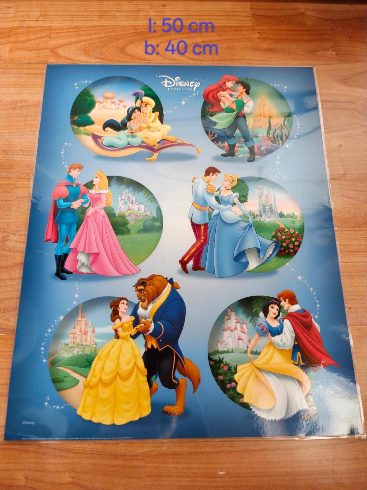 Leuke poster van Disney prinsessen, Minder dan 50 cm, Oorspronkelijke maker, Ophalen of Verzenden, Zo goed als nieuw