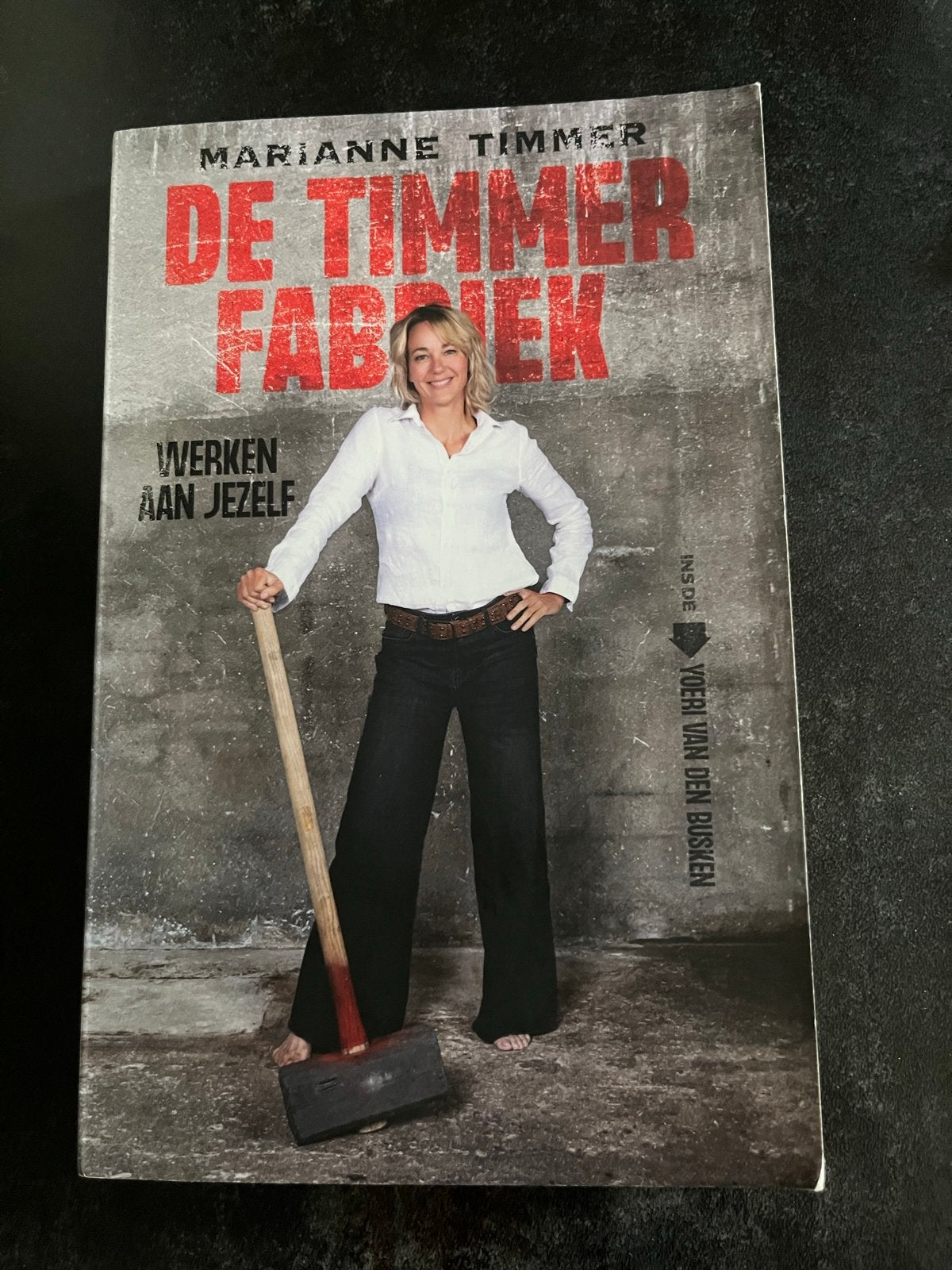 Marianne Timmer. De timmerfabriek, werken aan jezelf, Ophalen of Verzenden, Zo goed als nieuw, Yoeri van den Busken