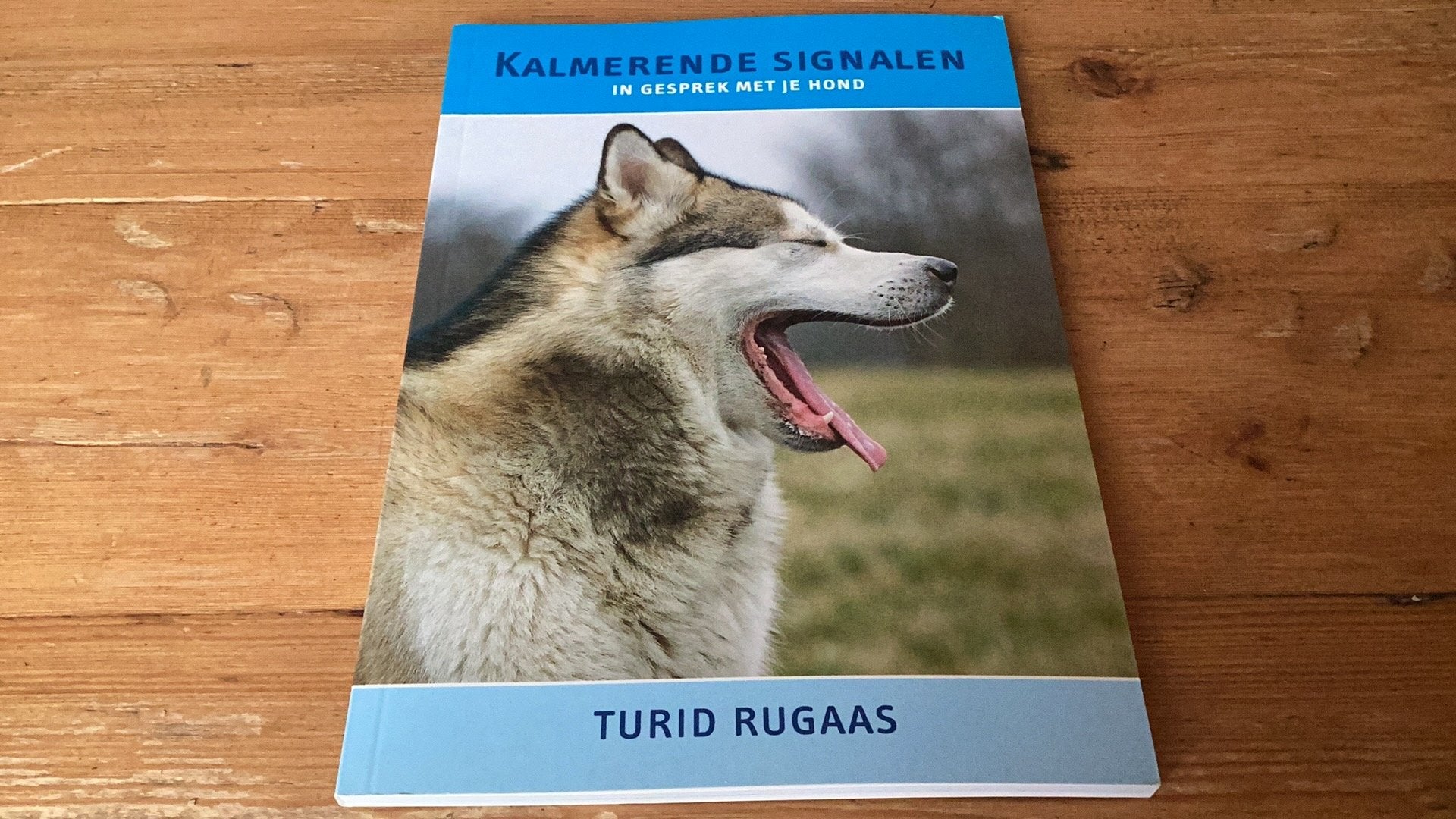 KALMERENDE SIGNALEN - Turid Rugaas (nieuwe paperback)., Honden, Nieuw, Ophalen of Verzenden, T. Rugaas