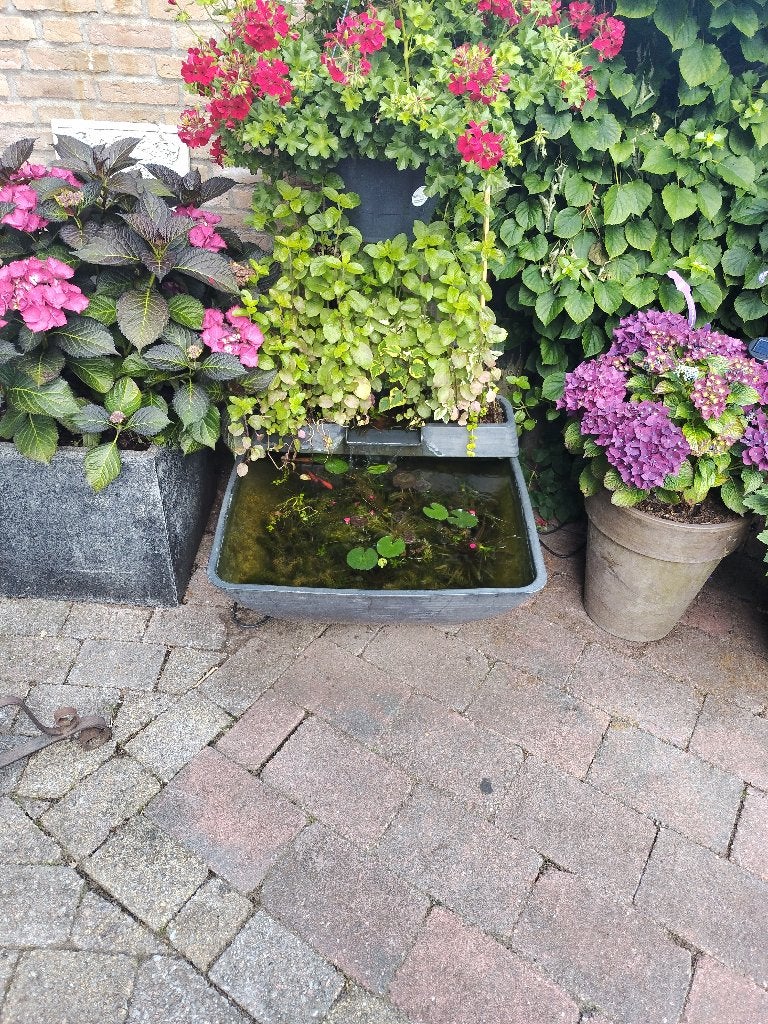 Complete vijver inclusief vissen pomp en verlichting, Tuin en Terras, Vijvers, Ophalen, Zo goed als nieuw