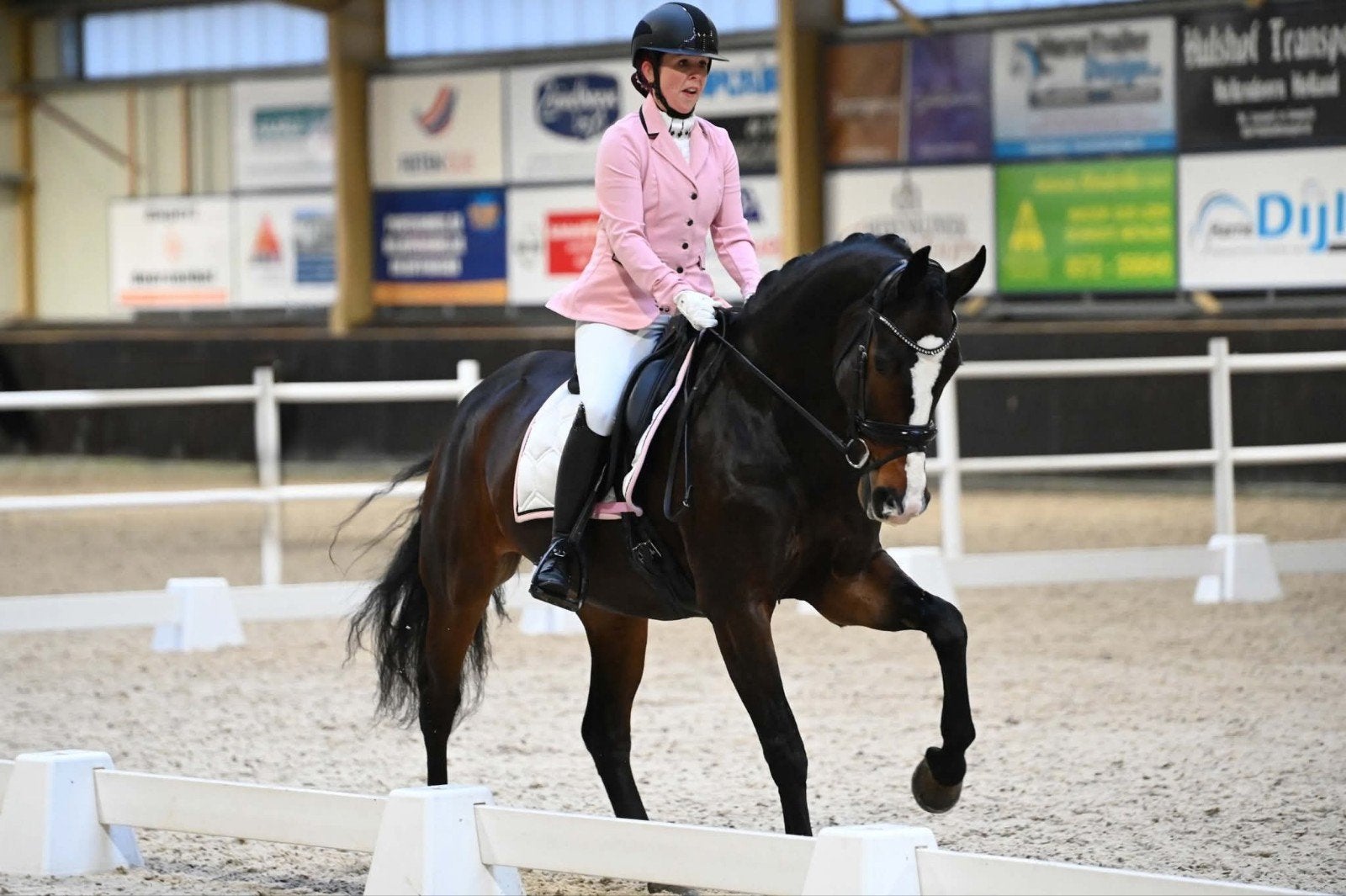Knappe Giulietta 15 jarige Merrie, Dieren en Toebehoren, Paarden, Merrie, Dressuurpaard