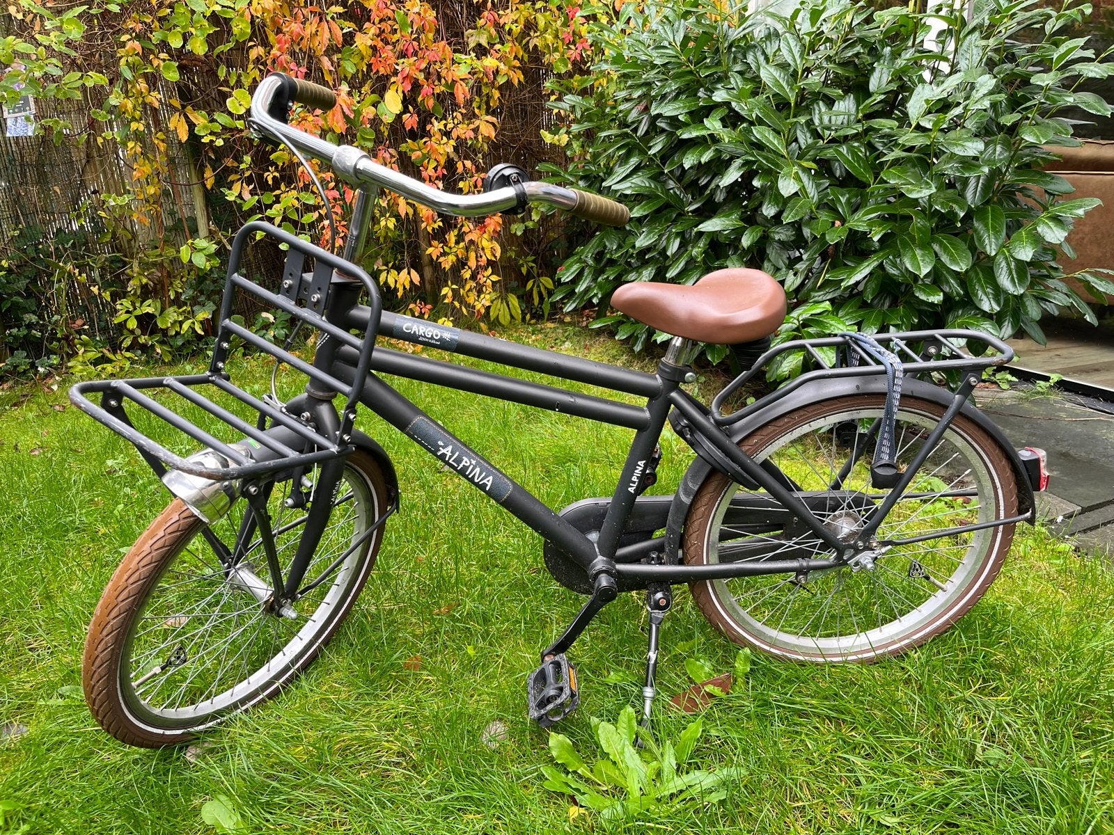 Alpina Cargo 20 inch kinderfiets, Ophalen of Verzenden, Gebruikt, 20 inch of meer