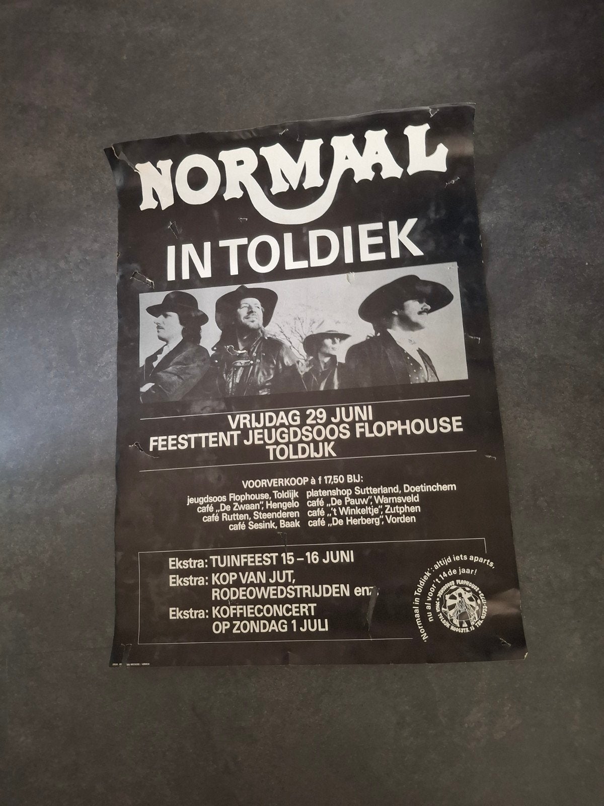 Aanplakbiljet Normaal  Toldijk, Ophalen of Verzenden, Gebruikt, Poster, Artwork of Schilderij