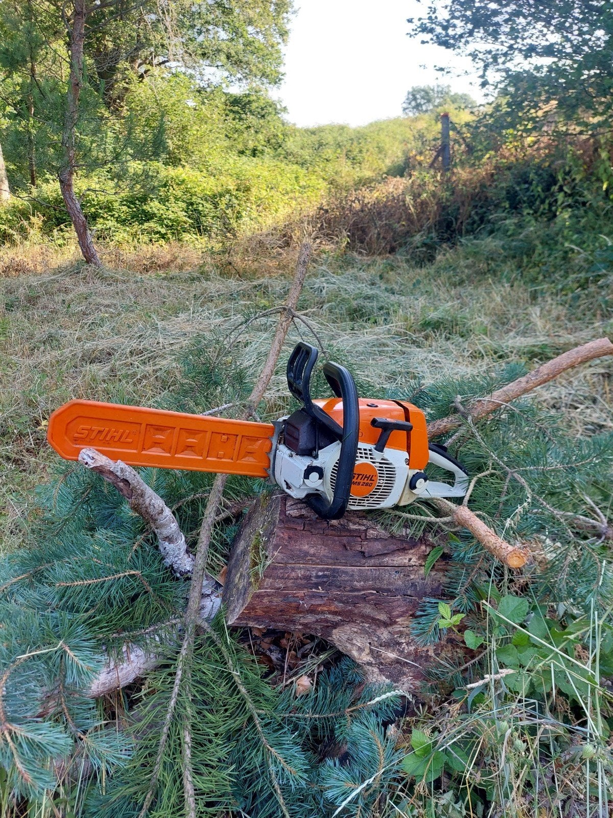 Betrouwbare sterke Stihl MS 260 kettingzaag, Ophalen, Benzine