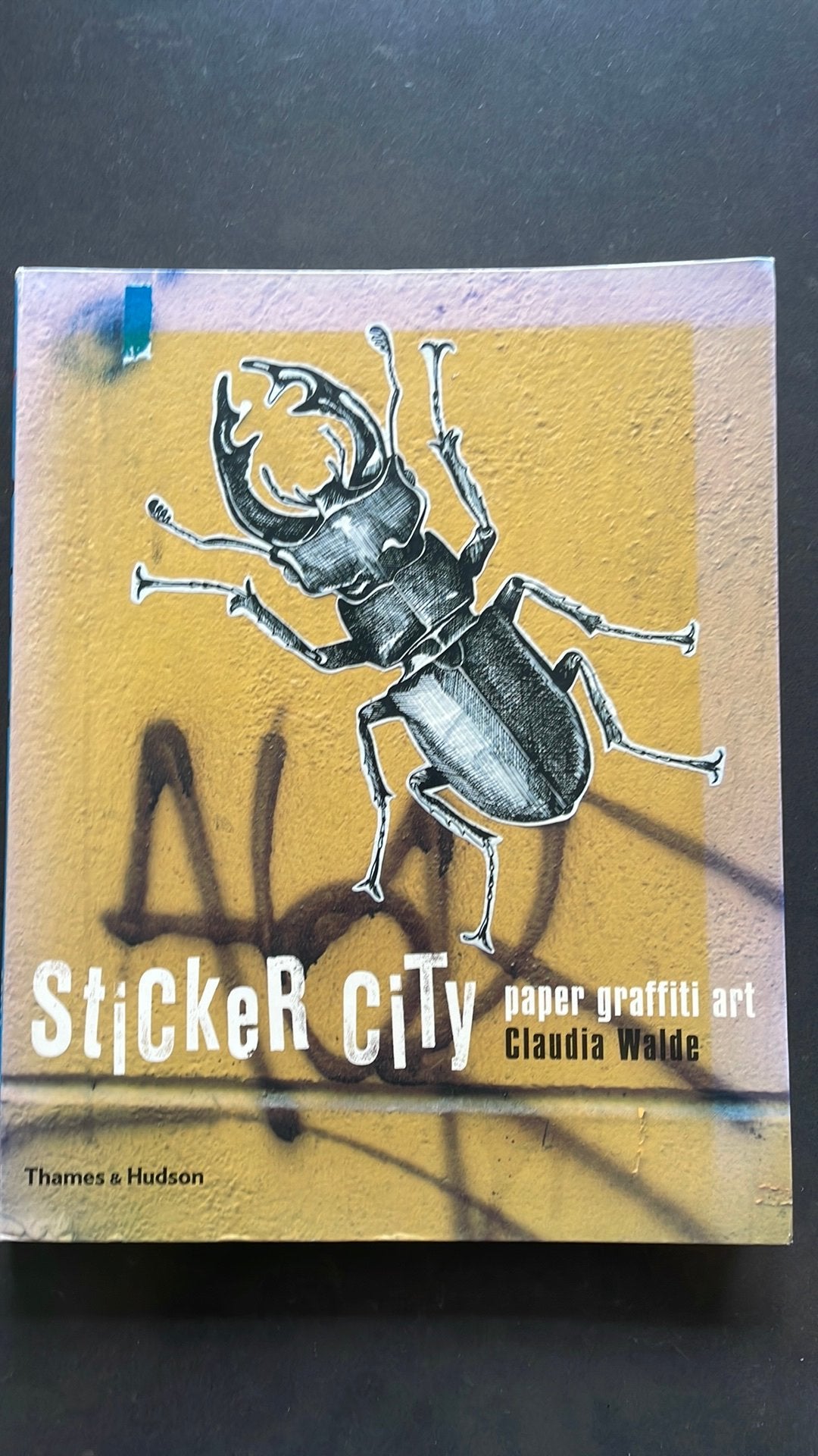 Sticker city, educatief, onderwijs, veel streetart foto’s, Ophalen of Verzenden, Zo goed als nieuw