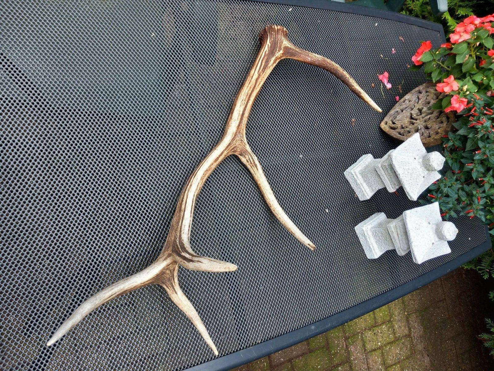 Edelhert gewei 10ender 81cm lang, Huis en Inrichting, Ophalen, Zo goed als nieuw