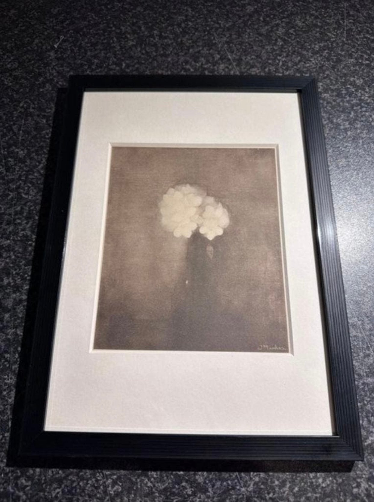 Jan Mankes 1889-1920 / Heliogravure Vaas met Jasmijn 1927, Antiek en Kunst, Gesigneerd, Verzenden, 23 cm, Gravure