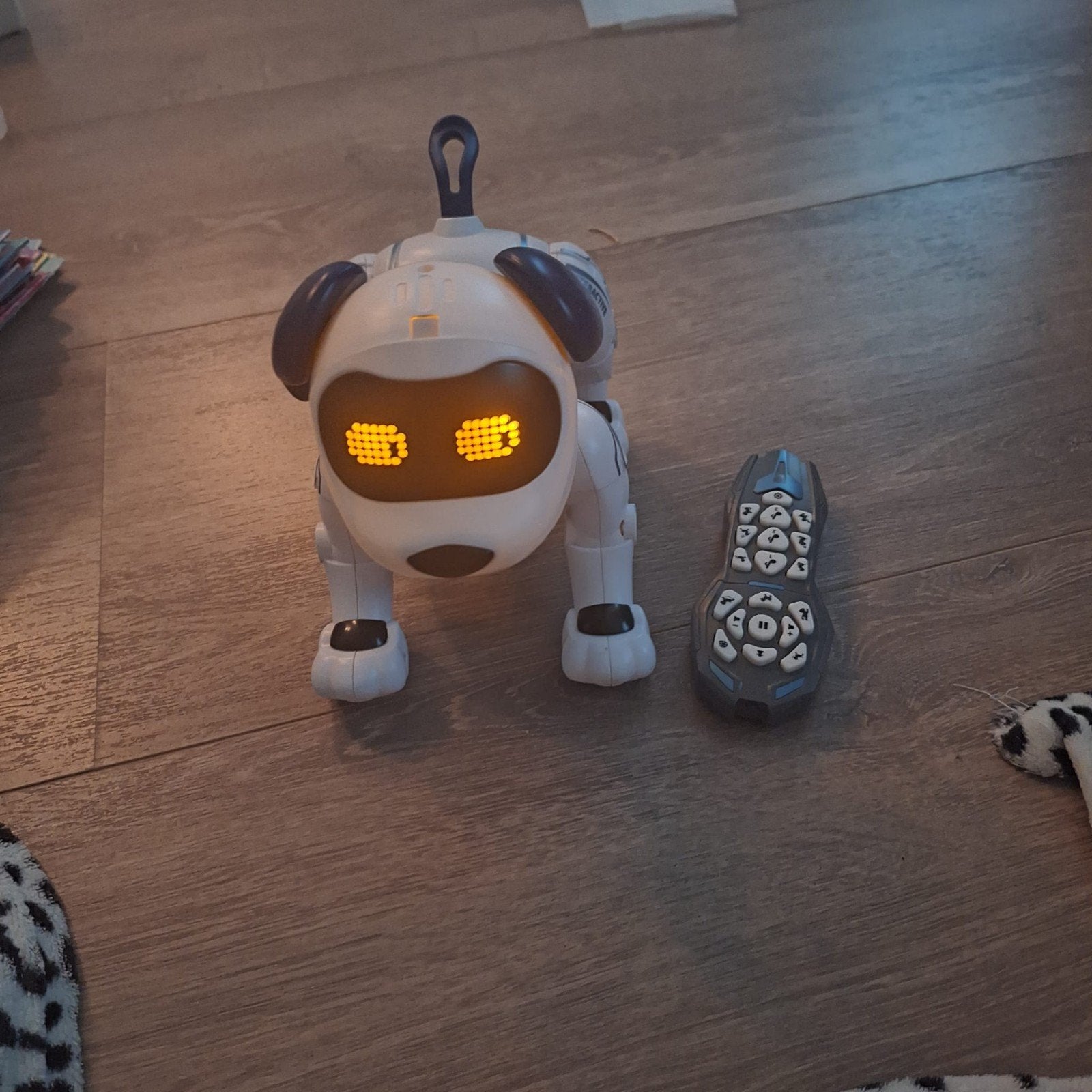 Interactieve Robot Hond met Afstandsbediening, Kinderen en Baby's, Speelgoed | Overig, Gebruikt, Jongen of Meisje, Ophalen