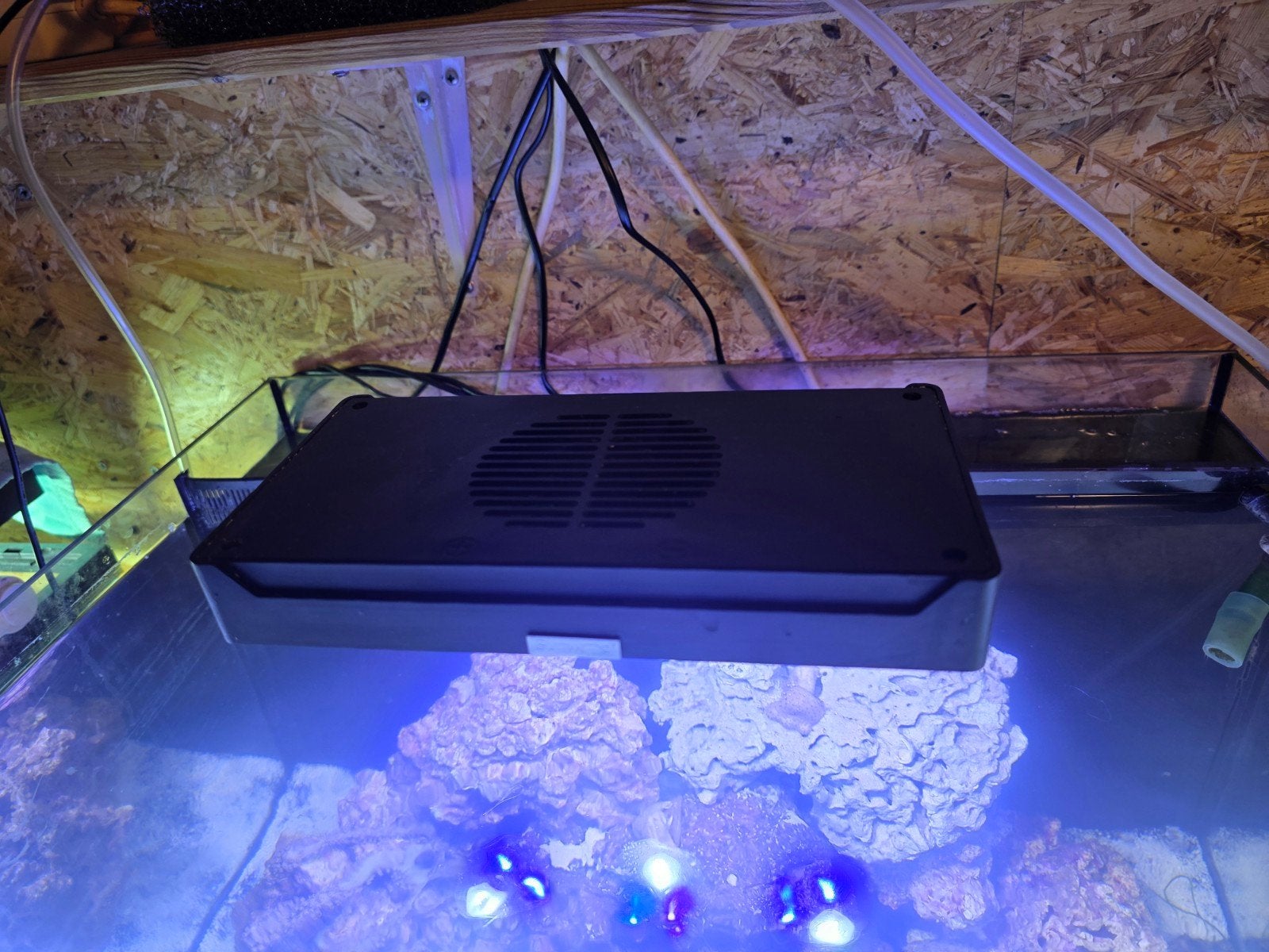 ASAqua no5 NANO LED, Dieren en Toebehoren, Ophalen of Verzenden, Inclusief toebehoren, Gebruikt, Verlichting of Verwarming