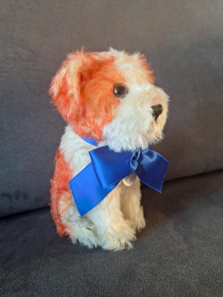 Steiff Hond Molly 400889 - Prachtig verzamelitem, Ophalen of Verzenden