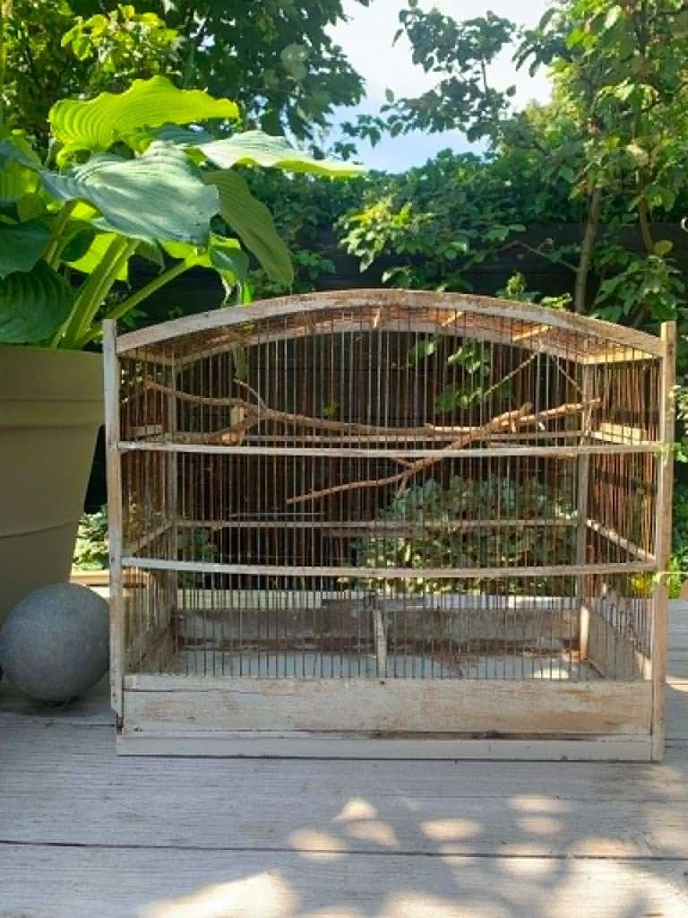 Vogelkooi, Dieren en Toebehoren, Ophalen of Verzenden, Gebruikt, Metaal, Vogelkooi