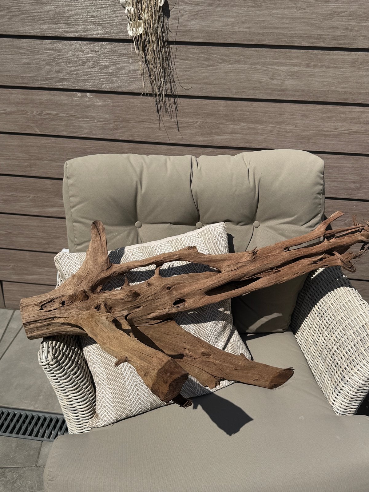 Hout aquarium, Dieren en Toebehoren, Ophalen, Zo goed als nieuw, Plant(en), Steen of Hout