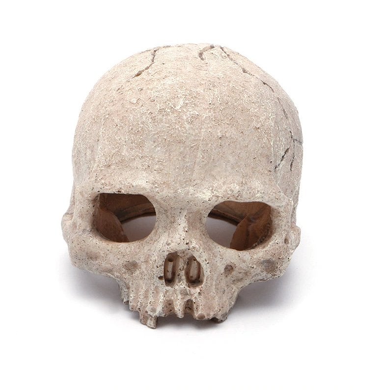 Doodskop Aquarium Ornament / Decoratie Skull Sier Schedel, Verzenden, Nieuw